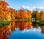 Красивая осень